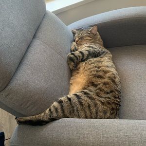 Meet your Posher, Christine